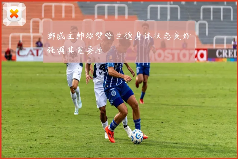 挪威主帅称赞哈兰德身体状态良好强调其重要性